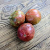 Leprechaun Lenya Dwarf Tomato