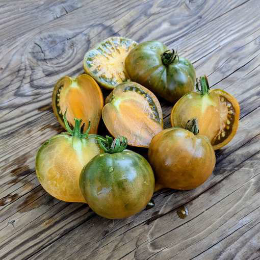 Ochre Heart Dwarf Tomato
