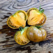 Ochre Heart Dwarf Tomato