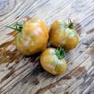 Ochre Heart Dwarf Tomato