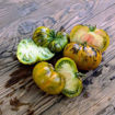 Rebella Dwarf Tomato