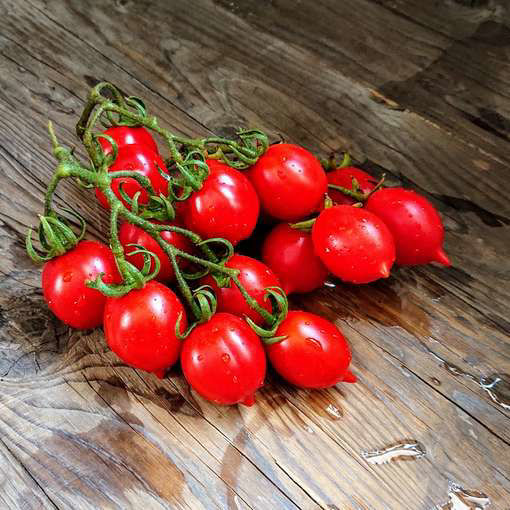 Patanara Tomato